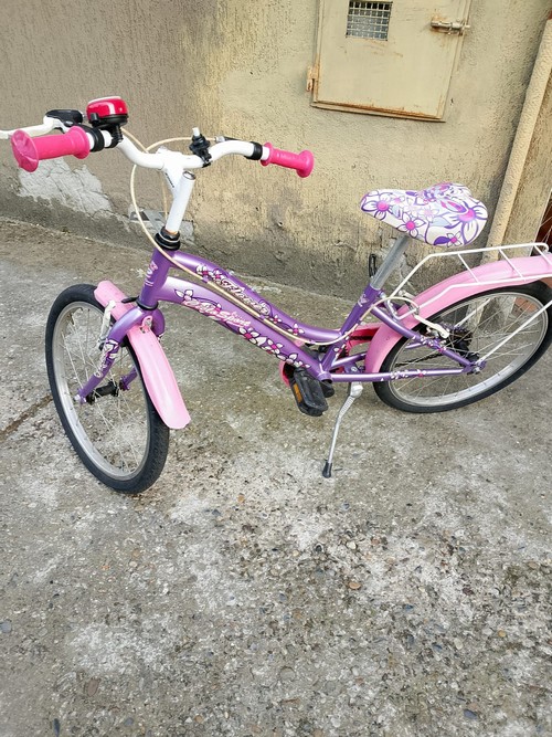 bici da bimba da 5 a 10 anni